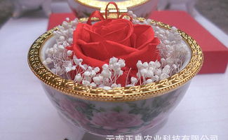 云南菲雅保鮮花 手工工藝品 紀(jì)念品 收藏品直銷價(jià)格 廠家 圖片